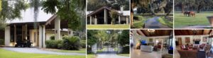 Ocala 90 Acres