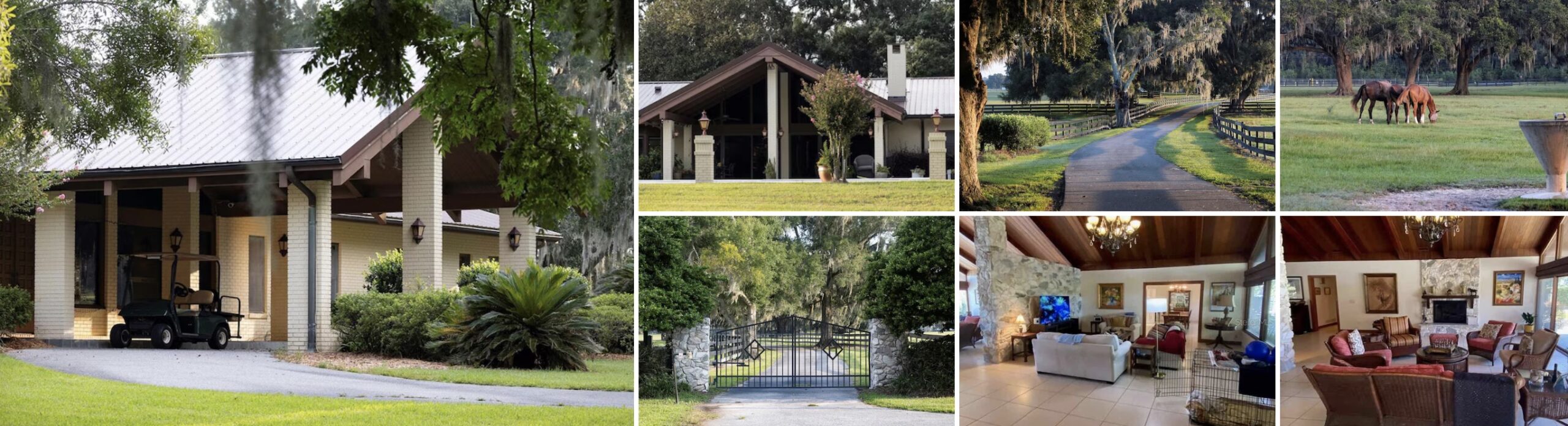Ocala 90 Acres